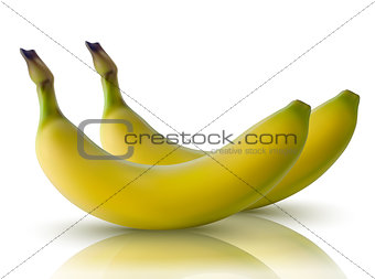 vector illustration of bananas with reflection