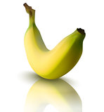 vector illustration of banana with reflection
