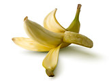vector illustration of banana