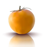 vector illustration of yellow tomato