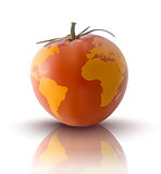 vector illustration of red tomato with planet earth