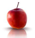 vector illustration of red apple