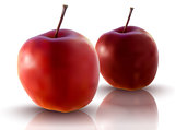 vector illustration of red apples