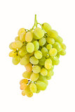 Green grapes isolated