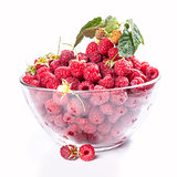 Red raspberries isolated