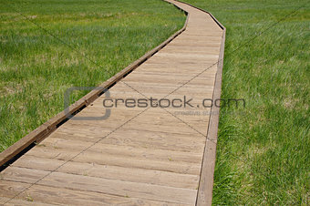 Wooden path in swamp