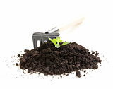 green plant grows from the ground with garden tools on a white background