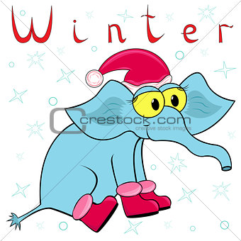 Why Elephant is so cold in winter?