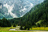 Forest and river in the valley, Dolomiti - Italy
