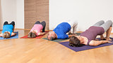 Yoga Exercise - Setu Bandha Sarvangasana 