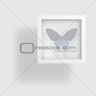 butterfly in the picture and its reflection