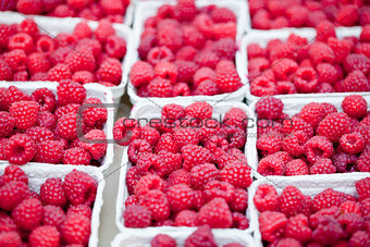 fresh tasty pink raspberry closeup macro on market outdoor