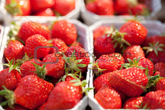 fresh delicious strawberries macro