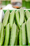 fresh green cucumber on market macro