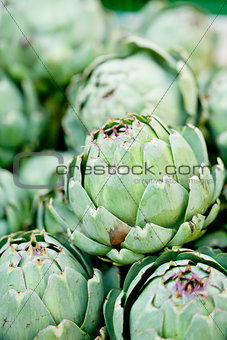 fresh green artichokes macro closeup on market outdoor