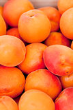 fresh orange red apricots peaches macro closeup on market