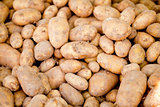 group of potatoes macro closeup market outdoor
