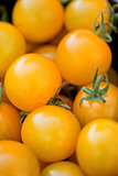 fresh tasty yellow cherry tomatoes macro closeup on market