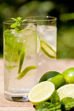 fresh cold refreshment drink mineral water soda with lime and mint