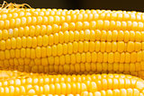 Fresh corn cobs