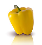 vector yellow bell pepper