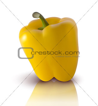 vector yellow bell pepper