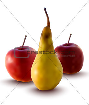 vector apples and pear