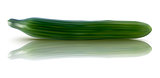 vector illustration of fresh cucumber