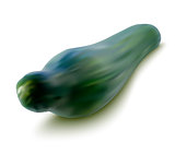 vector illustration of fresh cucumber