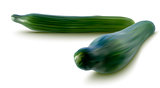 vector illustration of fresh cucumbers