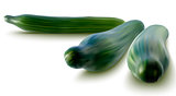 vector illustration of fresh cucumbers