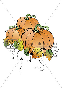 Pumpkins with leaves 