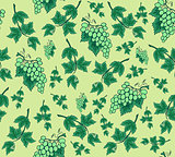 Seamless background from bunches of grapes