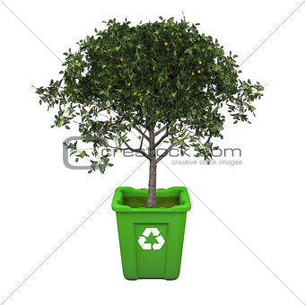 Fruit tree in recycle bin