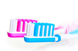 bristle toothbrushes removed large on a white background