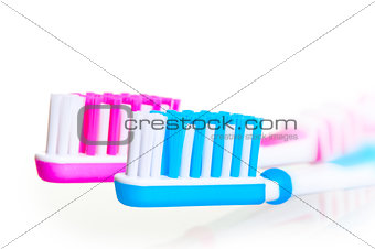 bristle toothbrushes removed large on a white background