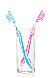 quarreled toothbrushes in a glass on a white background
