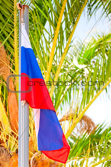 Russian flag on a background of palm trees