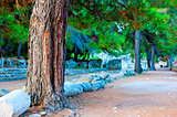 Pine Avenue and the ruins of ancient Phaselis