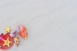 Starfishes and seashells on sand with copy space