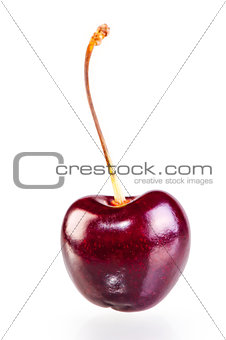 ripe cherry with an elegant wand