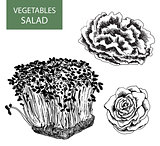 Salad - set of vector illustration - hand drawing