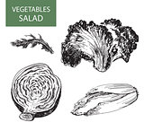 Salad - set of vector illustration - hand drawing