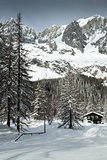 Val Ferret, mountain chalet in the snow among the trees