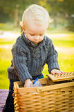 Blonde Baby Boy Opening Picnic Basket Outdoors at the Park