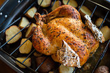 oven roasted chicken with potatoes