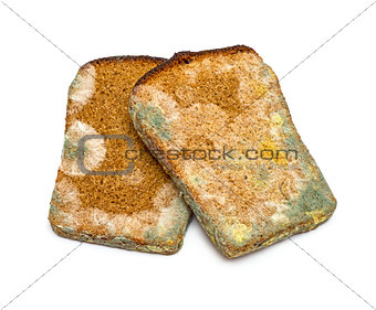 Mouldy rye bread