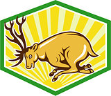 Stag Deer Charging Side Cartoon