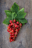redcurrant branch on old wooden table