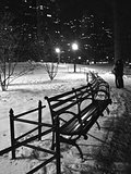 Central Park in Snow